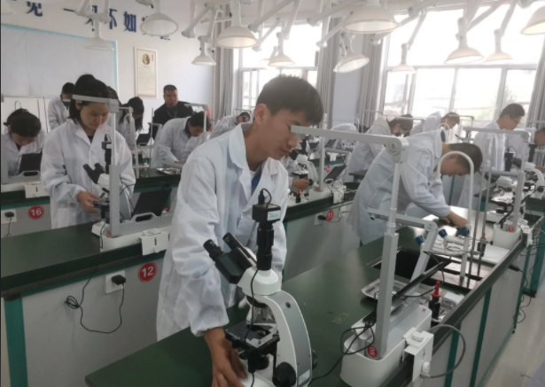 教育的应然关联实然疏离构成了当前教育改革的核心张力 教育的应然关联实然疏离构成了当前教育改革的核心张力